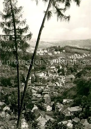 AK / Ansichtskarte Thal_Ruhla Panorama Blick vom Schlossberg Luftkurort Thal_Ruhla