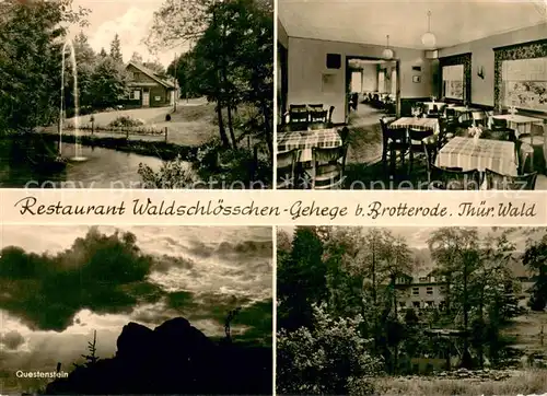 AK / Ansichtskarte Brotterode Restaurant Waldschloesschen Gehege Thueringer Wald Questenstein Felsen Brotterode