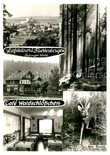 AK / Ansichtskarte Finsterbergen Luftkurort im Thueringer Wald Cafe Waldschloesschen Reh Finsterbergen