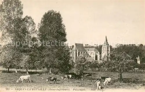 AK / Ansichtskarte Arques la Bataille Paturages Arques la Bataille