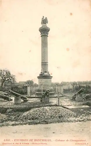 AK / Ansichtskarte Montmirail_Marne Colonne de Champubert Montmirail Marne
