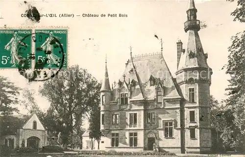 AK / Ansichtskarte Cosne_sur_l_Oeil Chateau de Petit Bois Schloss 