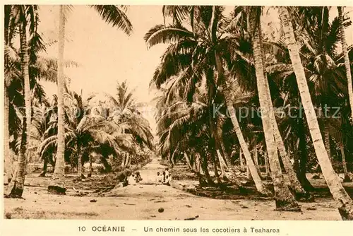 AK / Ansichtskarte Teaharoa_French_Polynesia Un chemin sous les cocotiers 