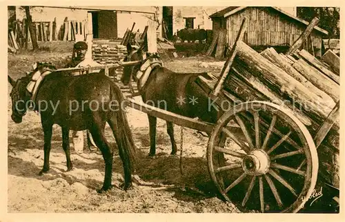 AK / Ansichtskarte Waldarbeit Gascogne 