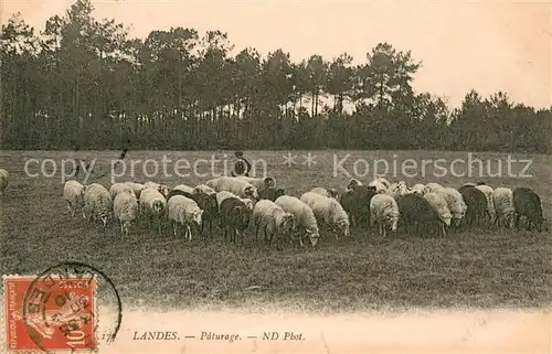 AK / Ansichtskarte Landwirtschaft Sch?fer ND  