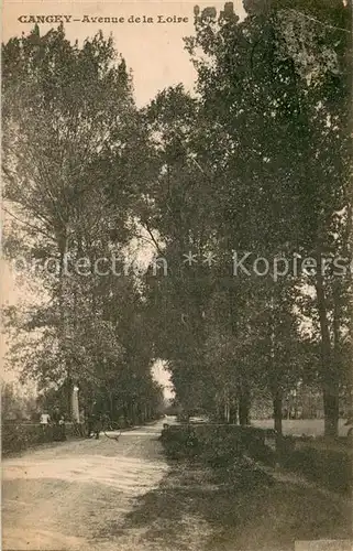AK / Ansichtskarte Cangey Avenue de la Loire Cangey