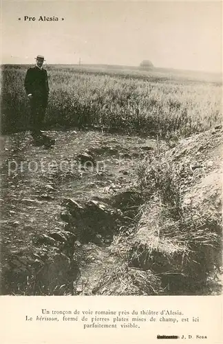 AK / Ansichtskarte Pro_Alesia Un troncon de voie romaine pres du theatre d Alesia Pro_Alesia