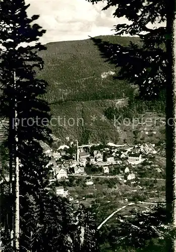 AK / Ansichtskarte Bermersbach_Forbach Panorama Bermersbach Forbach