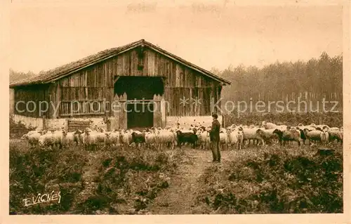 Sch?ferei_Landwirtschaft Sch?fer Gascogne E Vicnes 