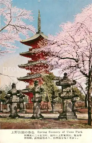 AK / Ansichtskarte Tokyo Spring Scenery of Ueno Park Tokyo