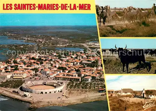 AK / Ansichtskarte Les_Saintes Maries de la Mer Vue aerienne les arenes leglise fortifiee Les marais Manade de chevaux de toureaux maisons camargueaises Les