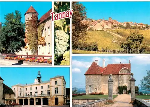 AK / Ansichtskarte Tannay_Nievre Ecole La Mairie Le Chateau de Pignol Tannay Nievre