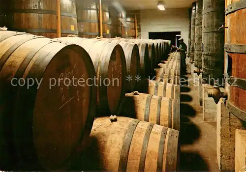 AK / Ansichtskarte Semussac Chateau de Didonne Un des chais de vieilissement Semussac