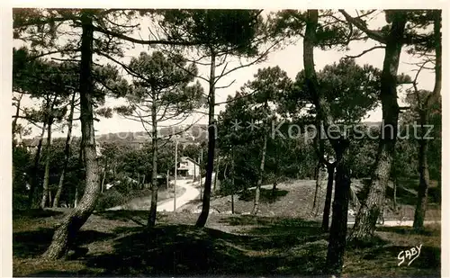 La_Baule_sur_Mer Sous bois La_Baule_sur_Mer