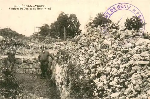 Bergeres les Vertus Vestiges du Donjon du Mont Aime Bergeres les Vertus