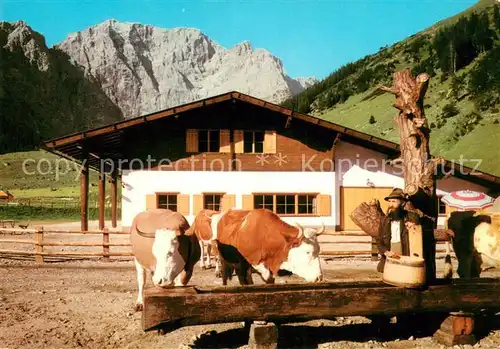 AK / Ansichtskarte Engalm Rasthuette Engalm gegen Grubenkarspitze Karwendelgebirge Viehtraenke Engalm
