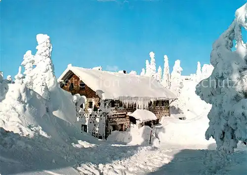 AK / Ansichtskarte Altreichenau Berggasthof Dreisessel Winterlandschaft Altreichenau