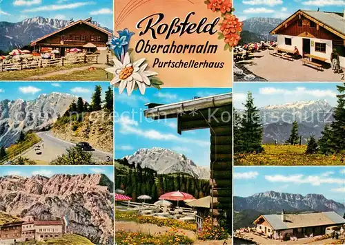 AK / Ansichtskarte Berchtesgaden Rossfeld Oberahornalm Purtschellerhaus Bergwiesen Alpen Berchtesgaden