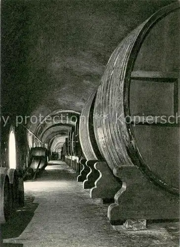 AK / Ansichtskarte Epernay_51 Galerie des vins de reserve Moet & Chandon Maison fondee en 1743 