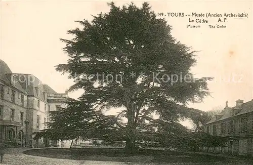 AK / Ansichtskarte Tours_Indre et Loire Musee Le Cedre Tours Indre et Loire