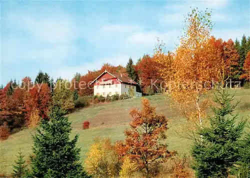 AK / Ansichtskarte Kelheim Naturfreundehaus Hammertal Herbststimmung Kelheim