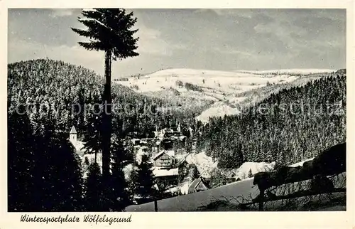 AK / Ansichtskarte Woelfelsgrund_Glatz Panorama Wintersportplatz 
