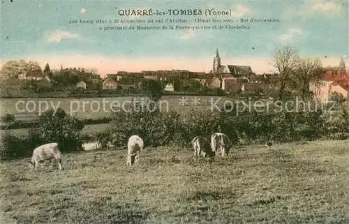 AK / Ansichtskarte Quarre les Tombes Climet tres sain But dexcursion a proximite du Monastere de la Pierre qui vire et de Chastellux Quarre les Tombes