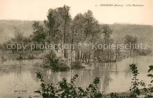 AK / Ansichtskarte Dormans Ile Madeleine Vue panoramique Dormans