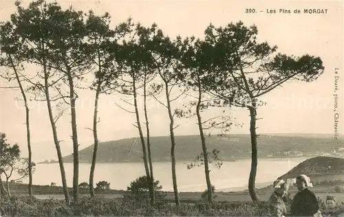 AK / Ansichtskarte Morgat Les Pins de Morgat Morgat