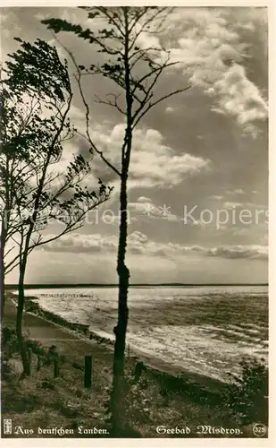 AK / Ansichtskarte Misdroy_Ostseebad_Westpommern Blick vom Kaffeeberg Misdroy_Ostseebad