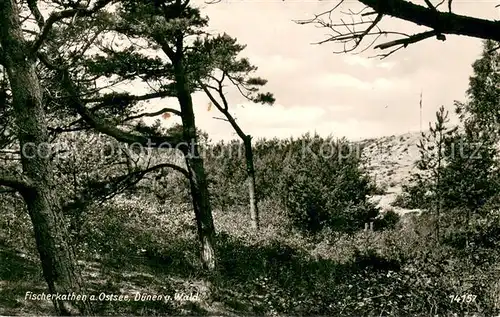 AK / Ansichtskarte Pogorzelica Fischerkathen Ostsee Duenen und Wald Pogorzelica