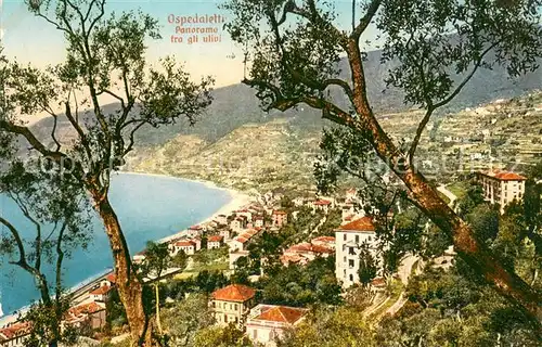 AK / Ansichtskarte Ospedaletti Panorama fra gli ulivi Ospedaletti