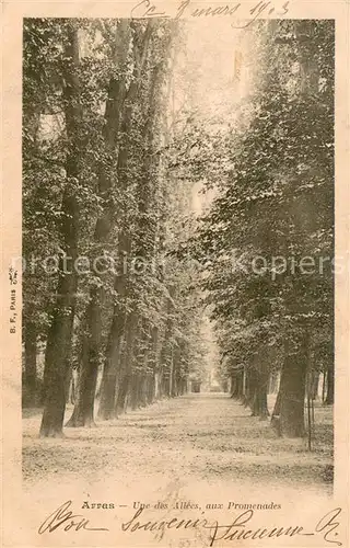 AK / Ansichtskarte Arras_Pas de Calais_62 Une des Allees aux Promenades 