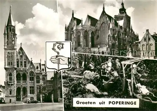 AK / Ansichtskarte Poperinge_Poperinghe Kathedrale Weinlese 