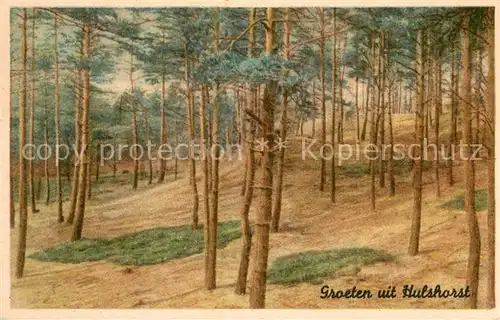 AK / Ansichtskarte Hulshorst Heuvelrand in bos Kuenstlerkarte Serie 3 Hulshorst