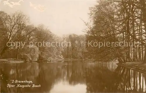 AK / Ansichtskarte s Gravenhage Vijver Haagsche Bosch s Gravenhage