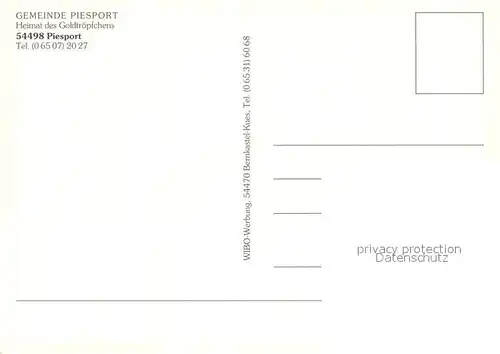 AK / Ansichtskarte Piesport Panorama Weinort Heimat des Goldtroepfchens Fahrgastschiff auf der Mosel Piesport