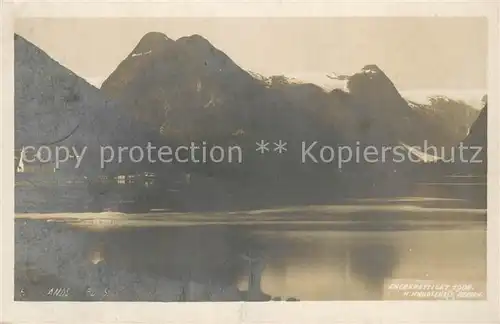 AK / Ansichtskarte Eneberettiget_Norge_Norwegen Panorama 