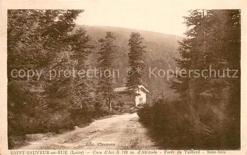 AK / Ansichtskarte Saint Sauveur en Rue Foret de Taillard sous bois Saint Sauveur en Rue