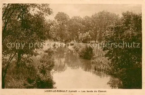 AK / Ansichtskarte Ligny le Ribault Les bords du Cosson Ligny le Ribault