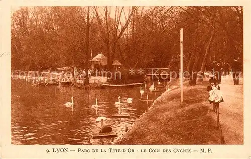 AK / Ansichtskarte Lyon_France Parc de la Tete d Or Coin des cygnes Lyon France