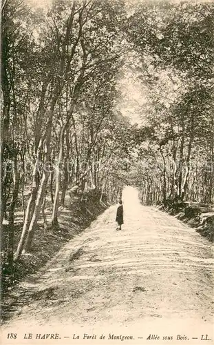 AK / Ansichtskarte Le_Havre La Foret de Montgeon Allee sous Bois Le_Havre