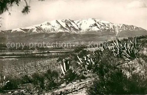 AK / Ansichtskarte Roussillon_Isere La plaine et Canigou Roussillon Isere