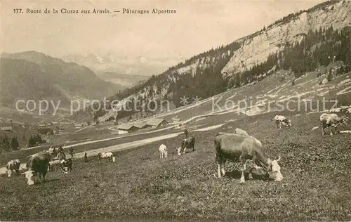 AK / Ansichtskarte La_Clusaz Route de la Clusaz aux Aravis Paturages alpestres La_Clusaz