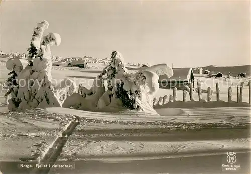AK / Ansichtskarte Norwegen_Norge_Norway Fjellet i vinterdrakt Winterlandschaft 