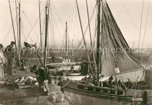 AK / Ansichtskarte Douarnenez Thonniers au port Douarnenez