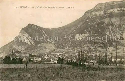 AK / Ansichtskarte Culoz Vue generale et le Grand Colombier Alpes Culoz
