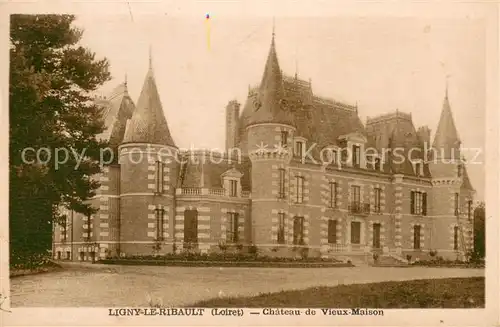 AK / Ansichtskarte Ligny le Ribault Chateau de Vieux Maison Ligny le Ribault