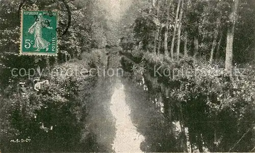AK / Ansichtskarte Senlis_Oise Bach Waldpartie Senlis Oise