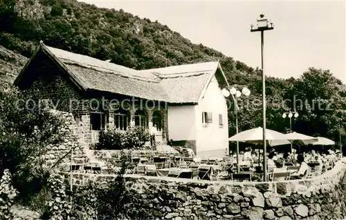 AK / Ansichtskarte Badacsony Kisfaludy haz Badacsony